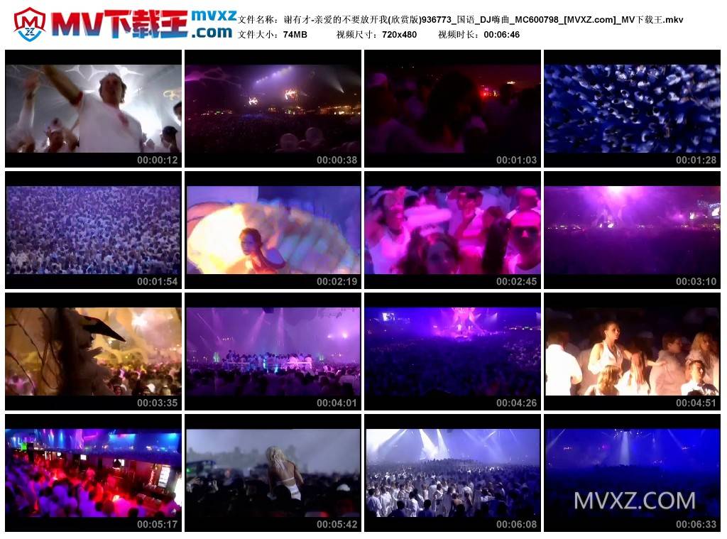谢有才-亲爱的不要放开我(欣赏版)936773_国语_DJ嗨曲_MC600798